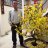 Chin binh dinh